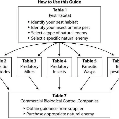 thumbnail for publication: 2021 Guidelines for Purchasing and Using Commercial Natural Enemies and Biopesticides in North America